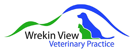 Small Animal Veterinary Surgeon (Full or Part-time)  Wellington, Shropshire